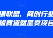 高鹏圈：AI卖课联盟，网创行业天花板赛道就是卖项目