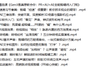 B站 精品课《GenJi是真想教会你：PR+AU+AE全能剪辑师入门班》