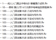 价值600元 英语入门直达中级英语国际音标英语口语英语词汇语法视频教材光盘