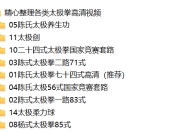 精心整理各类太极拳高清视频
