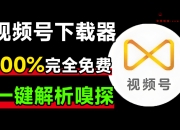 全平台视频下载器！支持视频号、某音某手一键解析下载，高清画质享受，支持win和mac系统