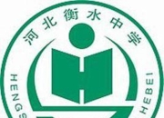 《衡水中学资料大全》重构版 考试资料  小学 初中 高中 最强学习资料 学霸笔记 