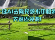 Video Subtitle Remover，一键AI去除视频水印和字幕