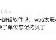 金山PDF专业版，大厂提取版，还开个锤子的VIP