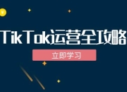 TikTok实战运营全攻略：从下载软件到变现，抖音海外版实操教程