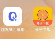 超强磁力搜索、柚子下载App，吊打迅雷你信么？