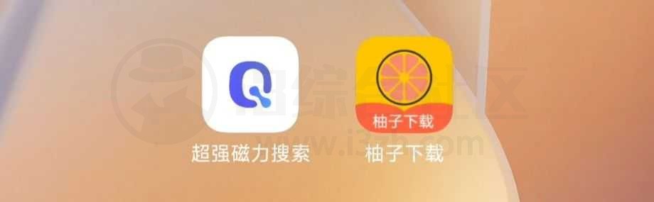 图片[1] | 超强磁力搜索、柚子下载App，吊打迅雷你信么？ | i3综合社区